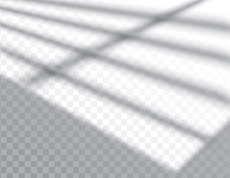 Shadow, overlay effects mock up, window frame and leaf of plants, natural light, vector illustrationのイラスト素材