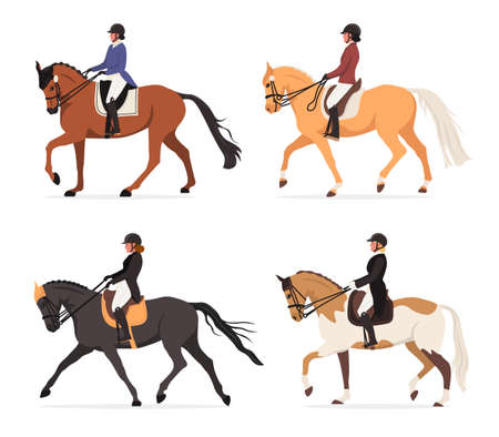 Set of young horsewoman at racecourse. Professional equestrian competition, dressage performance. Woman riding horse at tourney. Female jockey at racehorse. Vector illustration isolated on white.のイラスト素材