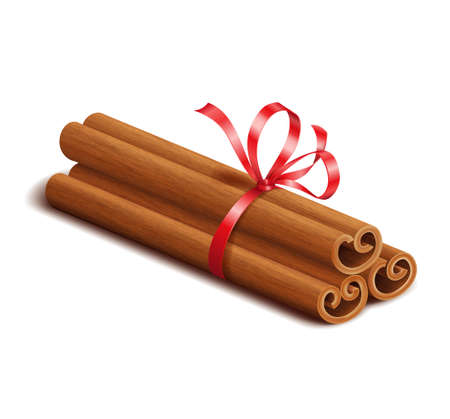 Realistic spices, cinnamon sticks with red bow isolated on whiteのイラスト素材