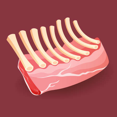Raw meat - Veal rack Ribs on red background vector illustration.のイラスト素材