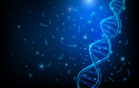 Wireframe DNA molecules structure mesh low poly consisting of points, lines, and shapes on dark blue background. Science and Technology conceptのイラスト素材