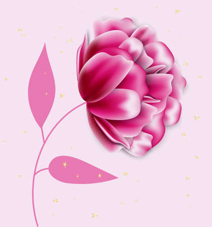 Realistic Pink peony flowers bud isolated on pink background, vector illustrationのイラスト素材
