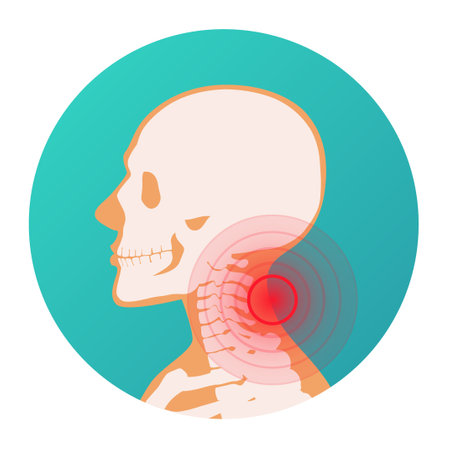 Red circle pain localization in the neck of the human body, skeleton, joints and bones vector illustrationのイラスト素材