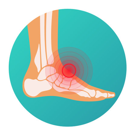 Red circle pain localization in human leg - foot injury, skeleton, vector illustrationのイラスト素材