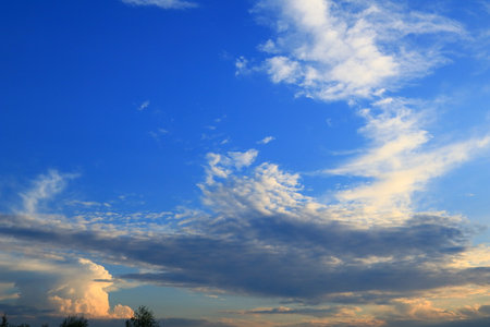 Natural background concept: Sunset blue sky and clouds background. Clouds in the form of a swallow birdの写真素材