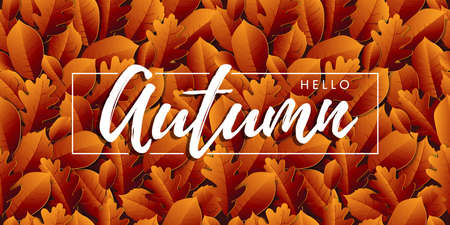 Hello Autumn, leaves with lettering. Seamless background. Autumnal background in red, orange and yellow colors. Design for web, print, wallpaper. Vector illustration.のイラスト素材