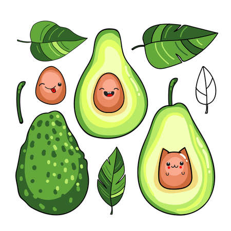 Set of cute avocado, kawaii style, vector illustrationのイラスト素材