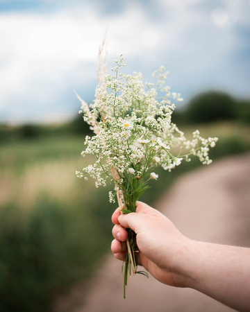 a bouquet of wildflowers in the hands of a little boy, while walking in the woodsの写真素材