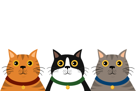 cute flat colorful cat portrait pattern on backgroundのイラスト素材