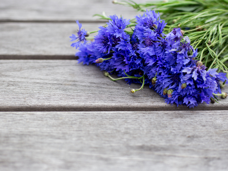 Blue cornflower flowers, summer wildflowers bouquet on gray wooden background, copy spaceの写真素材