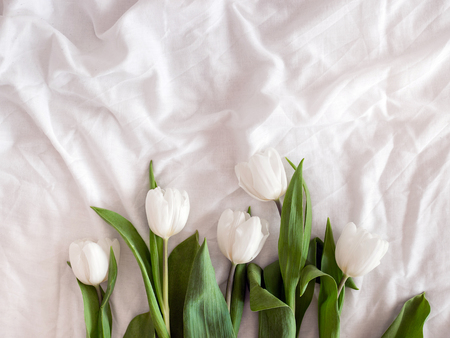 White Tulips on White Linen Cloth. Flower background. Flatlay. Top view. Copy spaceの写真素材