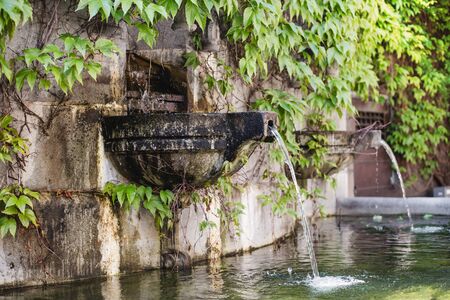 Old garden fountain with green leaves in the background.の写真素材