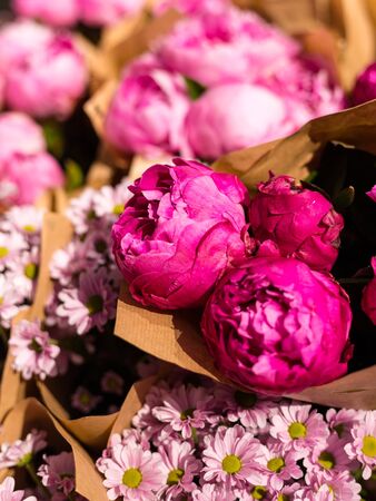 Peonies for sale at summer farmers marketの写真素材