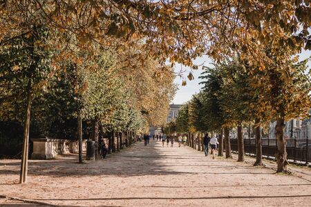 Bruxelles, Belgium 27.10.2019 - The Brussels park. Relaxing Park with People in autumnのeditorial素材