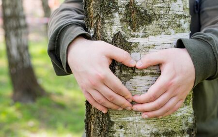 Hands forming a heart shape around a big tree. Man hugging a big tree, love or protecting nature conceptの写真素材
