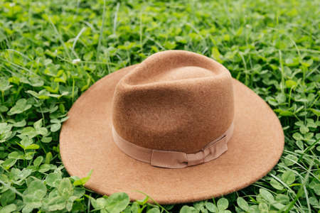 Brown hat on the green grass background, clover in meadow in springの写真素材
