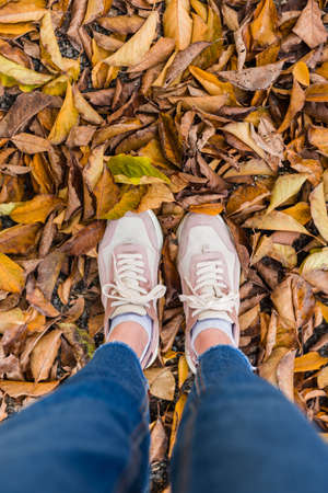 Legs of a girl in autumn foliage. Empty place for positive text, quote or sayings.