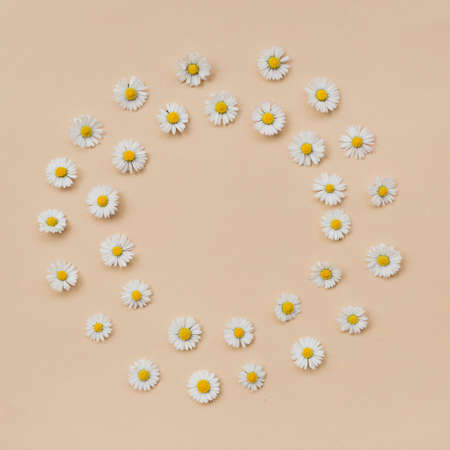 Wreath made of various chamomile flowers on a beige background. Flat lay, top view, copy space....
