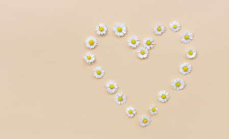 Heart made with white chamomiles on a beige background. Flat lay, top view, copy space. Daisy in...