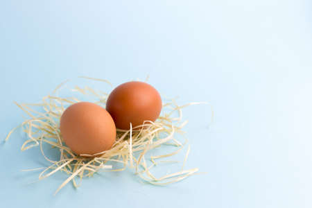 Two Brown Chicken eggs in a Small Nest on the bright blue background. Farm natural products, food or...