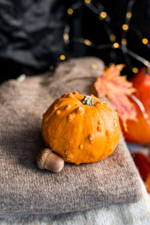Autumn Thanksgiving composition Background with copy space.の写真素材