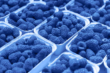 Fresh raspberry on a market in paper box containers. Photographed at an angle from above, image monochrome toned. Color of the year. Beautiful blue background for designの写真素材