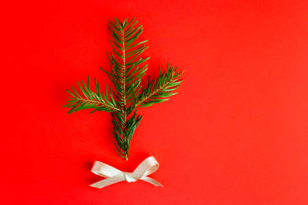 Christmas composition. Christmas tree branch on red background.の写真素材