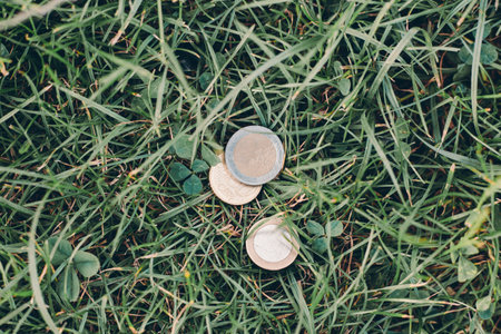 Euro coins in a fresh green grassの写真素材
