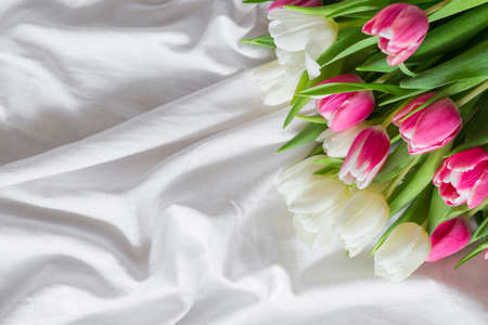 Pink and white Tulips isolated on white cloth background with copy space. Flat lay, top view. Minimal floral mock up concept. Valentines Day, Easter, Birthday, Happy Womens Day conceptの写真素材