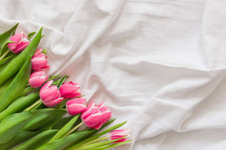 Pink Tulips isolated on white cloth background with copy space. Flat lay, top view. Minimal floral mock up concept. Valentines Day, Easter, Birthday, Happy Womens Day postcardの写真素材