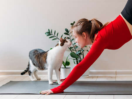 Girl in red sportswear with cute funny cat practicing yoga at home. Indoor and outdoor workout. Sport and healthy active lifestyle conceptの写真素材