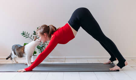 Girl in red sportswear with cute funny cat practicing yoga at home. Indoor and outdoor workout. Sport and healthy active lifestyle conceptの写真素材
