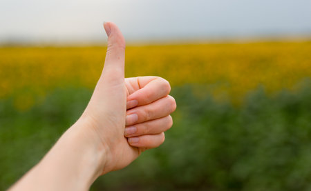 Sign thumb up at nature green background on summer day, closeup. Woman showing thumb-up sign, gesture conceptの写真素材