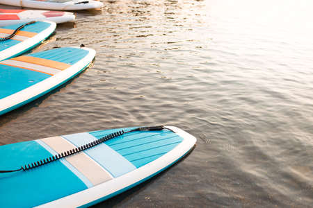 Surf boards on blue clean water surface background. Surfing and SUP boarding equipment in sunset lights close-up. Outdoor water sports. Surfing lifestyle concept.の写真素材