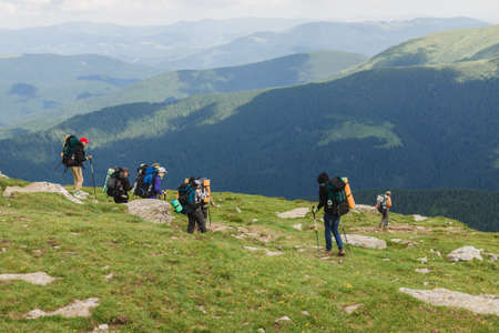 08.07.2021 Ukraine, Carpathians - Group of hikers with backpacks walks in mountains. Freedom, travel...