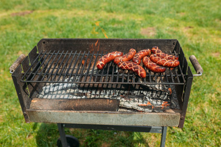 Grilled pork sausage on a cast iron grill. Sausages on grill with smoke and flame on grass background, picnic timeの写真素材
