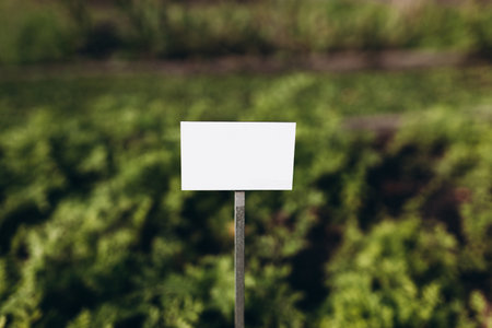 Closeup white metal sign at green grass background, nameplate with a space for your text. Horizontal banner. Empty Plant Labelの写真素材