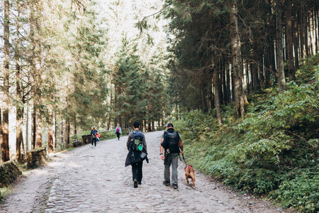 Zakopane, Poland October 06, 2022 - Couple with dog hiking on footpath in autumn forest. Persons in active trekking clothes walking on nature backgraund. Travel and active lifestyle concept.のeditorial素材
