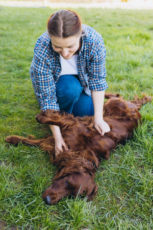 Beautiful young redhead woman playing with happy irish Setter dog in a park outdoors. Girl sitting...