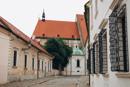 Katedrala sv. Martina in Bratislava in Slovakia. Concept of travel, tourism and vacation in city.の写真素材