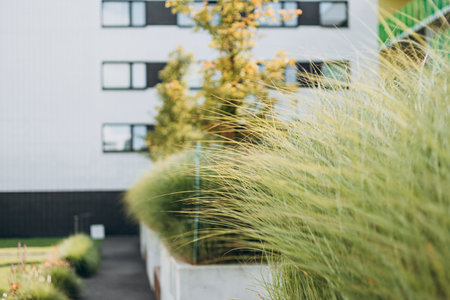 Modern Landscaping with ornamental grasses. Beautiful flowerbed with different plants on city streetの写真素材