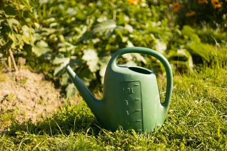 Big green Watering can standing on the earth. Gardening hobby concept. Outdoor gardening toolの写真素材