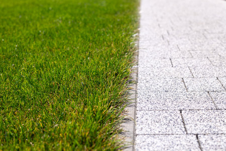 Fresh green lawn made of young grass near the sidewalk made of tiles. Stone pavement in perspective.の写真素材