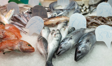 Colorful choice of fish at a market in Spain. Closeup of fish on display in a fish market, food...
