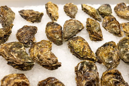 Fresh Oysters on the counter on ice in store. Oysters for sale at the seafood market. Aphrodisiac...
