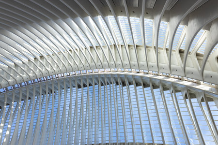 Close-up of abstract roof construction. Arts and Sciences City, Valencia. Spanish modern...