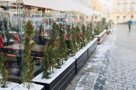 Christmas trees on stands next to the cafe on the streetの写真素材