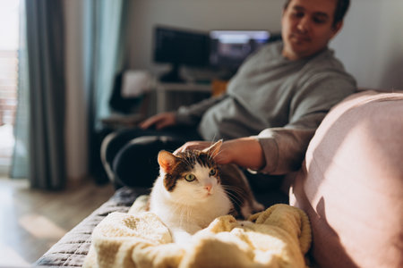 Man hand gently strokes her cat on the fur. The relationship between a cat and a person. Selective focus. Love cats and humans. Relationship.の写真素材