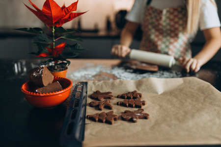 Raw dough, cookie cutters and rolling pin on table. Mother in apron making gingerbread biscuits with cookie cutters. Winter holidays concept, web banner, no face. Merry Christmas and Happy Holidays.の写真素材