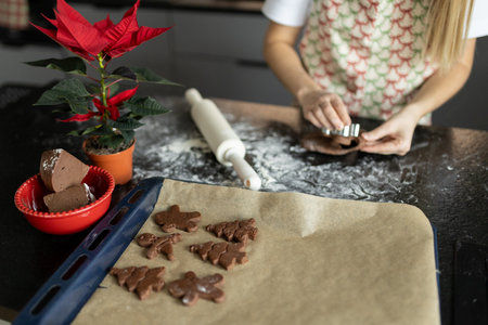 Raw dough, cookie cutters and rolling pin on table. Mother in apron making gingerbread biscuits with cookie cutters. Winter holidays concept, web banner, no face. Merry Christmas and Happy Holidays.の写真素材